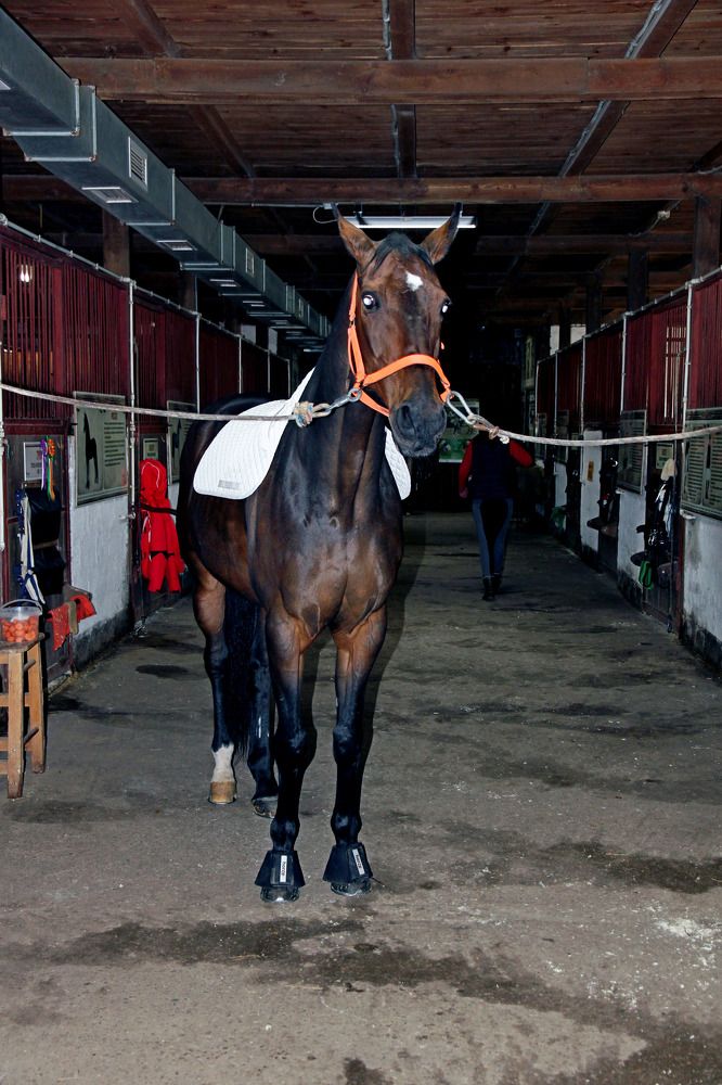 Photograph by Александр Бугаенко