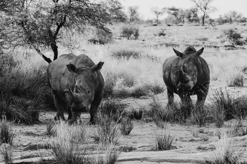 Photograph by Игорь Чебунин