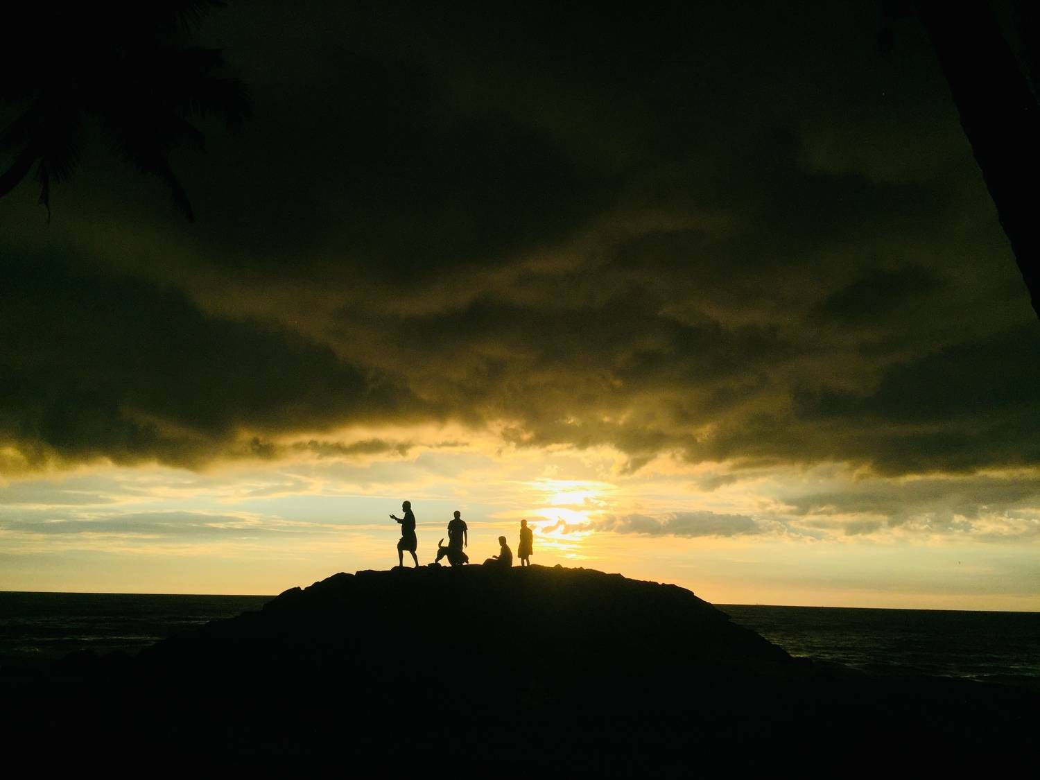 Photo #9964331