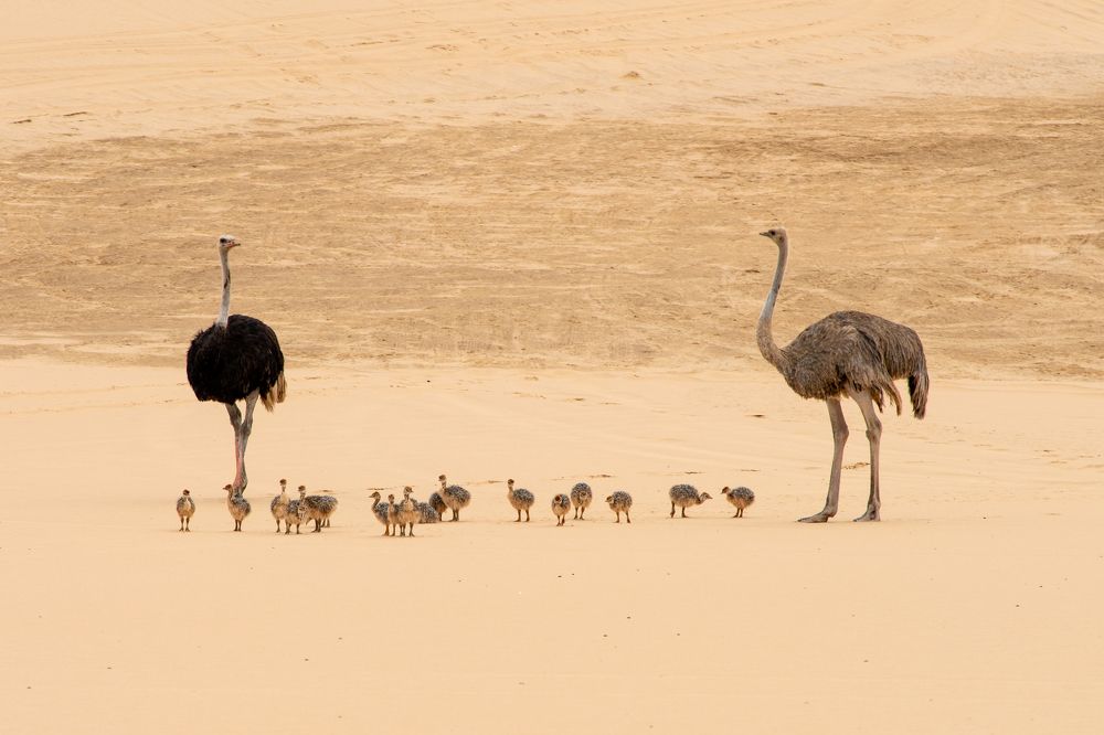 Photograph by Игорь Чебунин