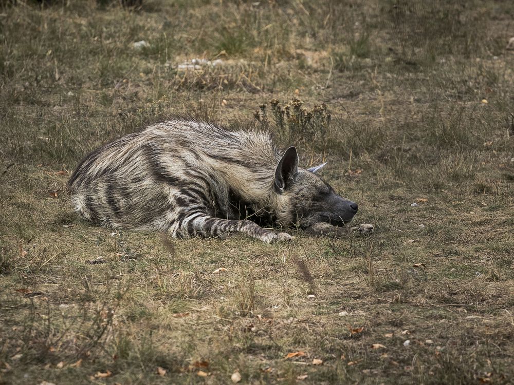 Photograph by Елена Ворошина