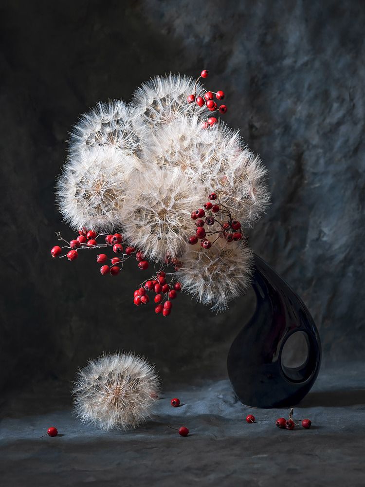 Photograph by Květa Trčková