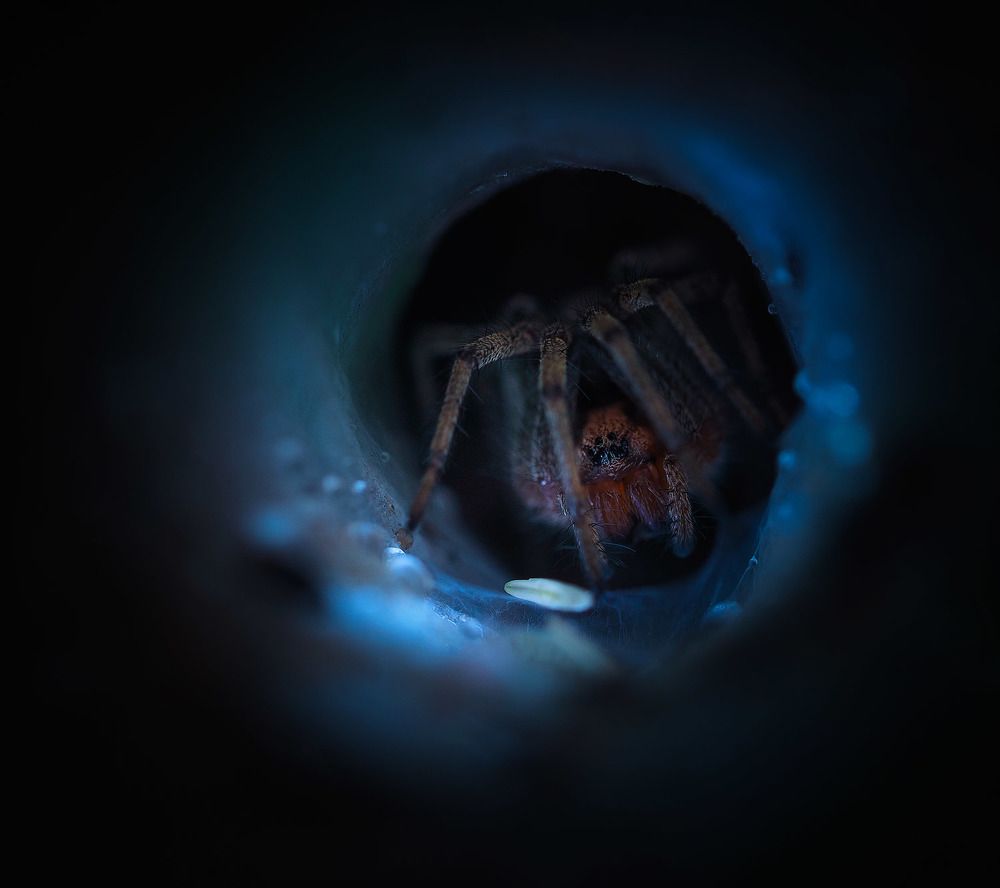 Photograph by Лукашук Евгений