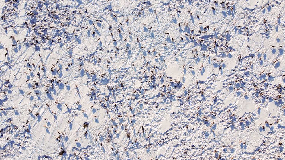 Photograph by Ганимат Пашазаде