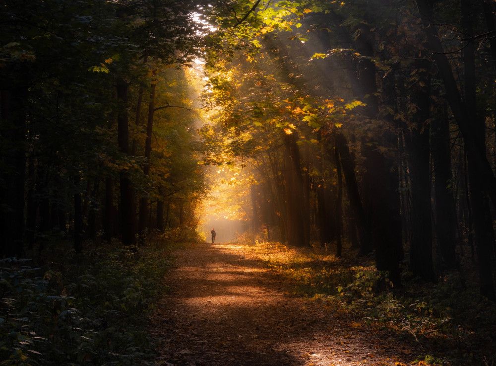 Photograph by Игорь Криулин