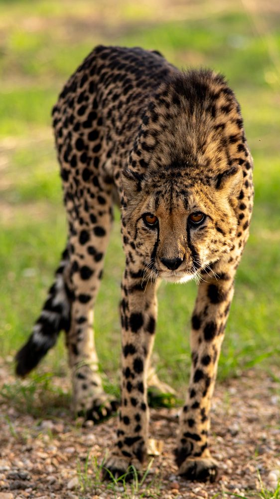 Photograph by Игорь Чебунин