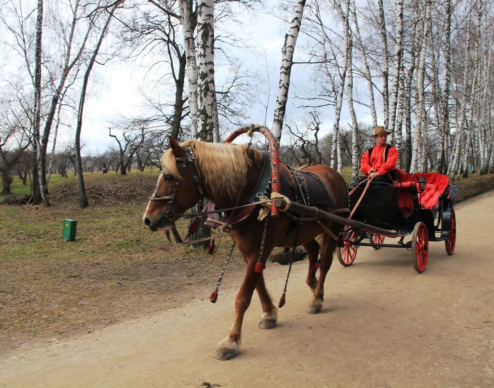 Photograph by Александр Бугаенко