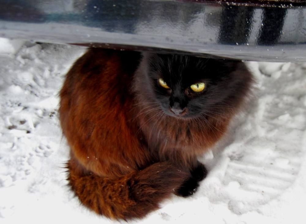 Photograph by Viktoriia Rusanova