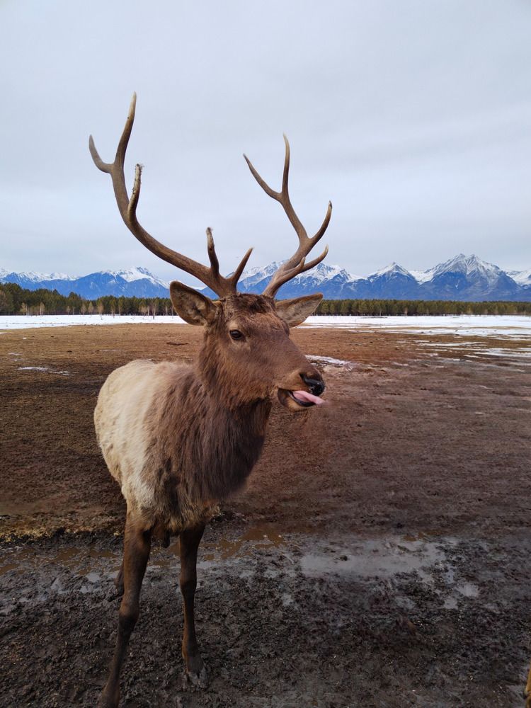 Смешной момент