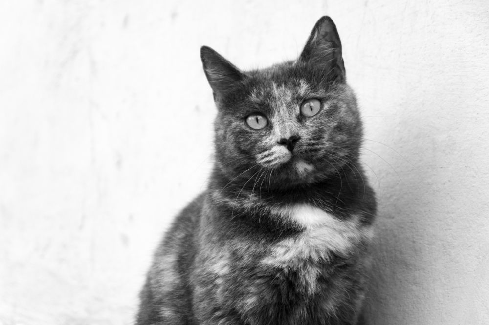 Photograph by Наталья Кулемина