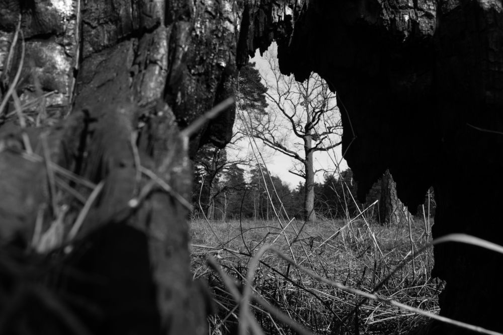 Photograph by Наталья Кулемина