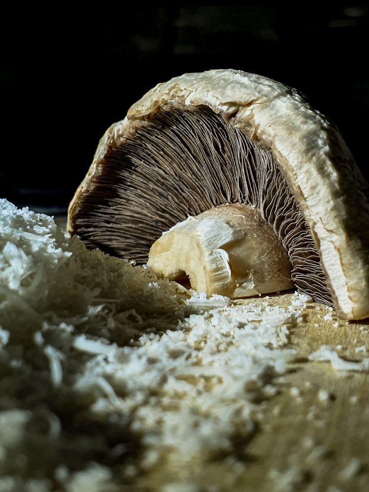 последнее слово шампиньона перед духовкой