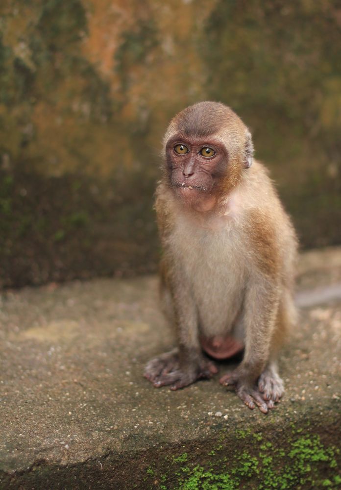 Photograph by Елена