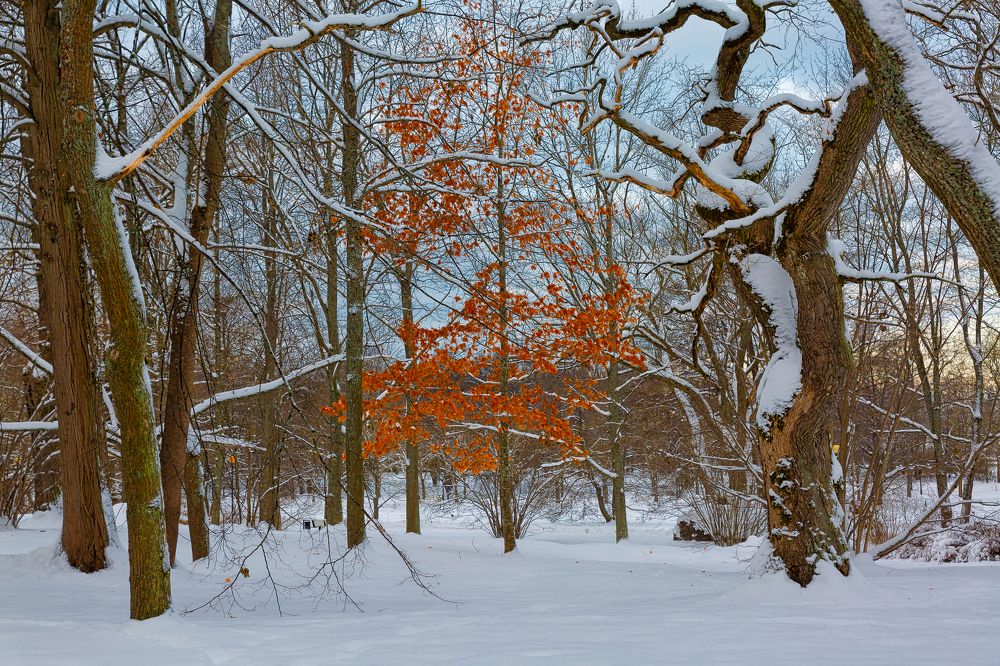 Photograph by yuri kutukov