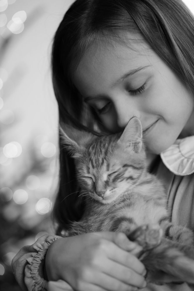 Photograph by Юлия Стародубцева