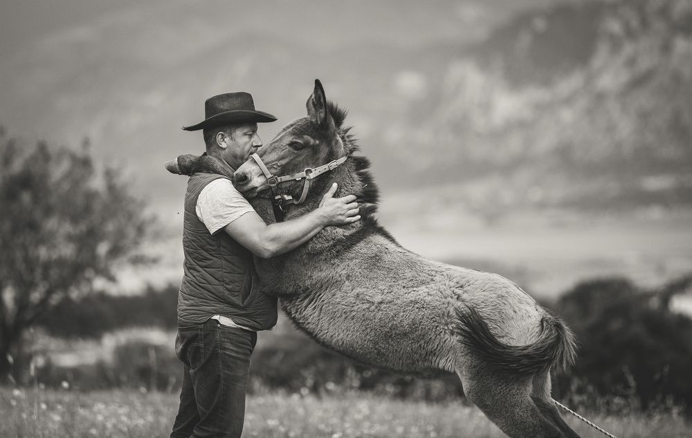 Photograph by Dimitris Vavliaras