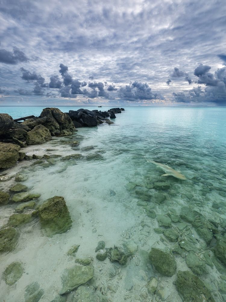 Photograph by Михаил Козлов