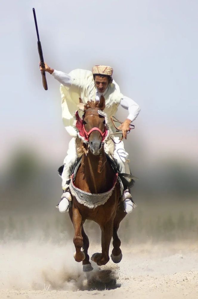 The knight and his horse