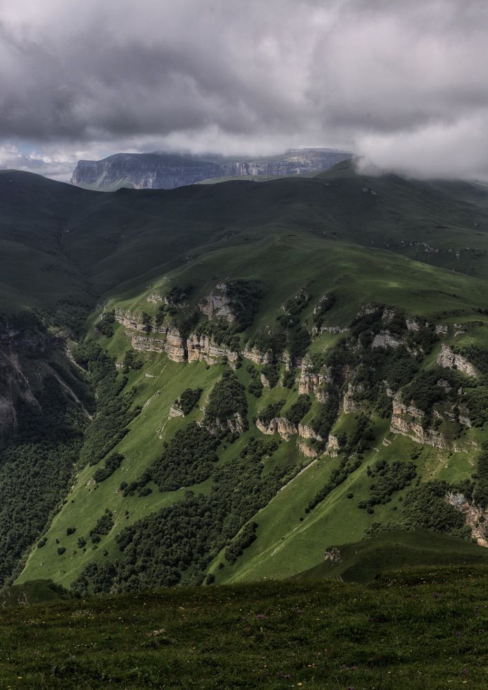 Photograph by Людмила Евстратова