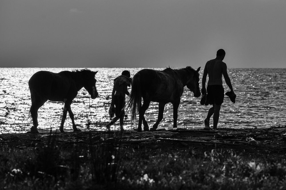 Photograph by Бахтадзе Дмитрий