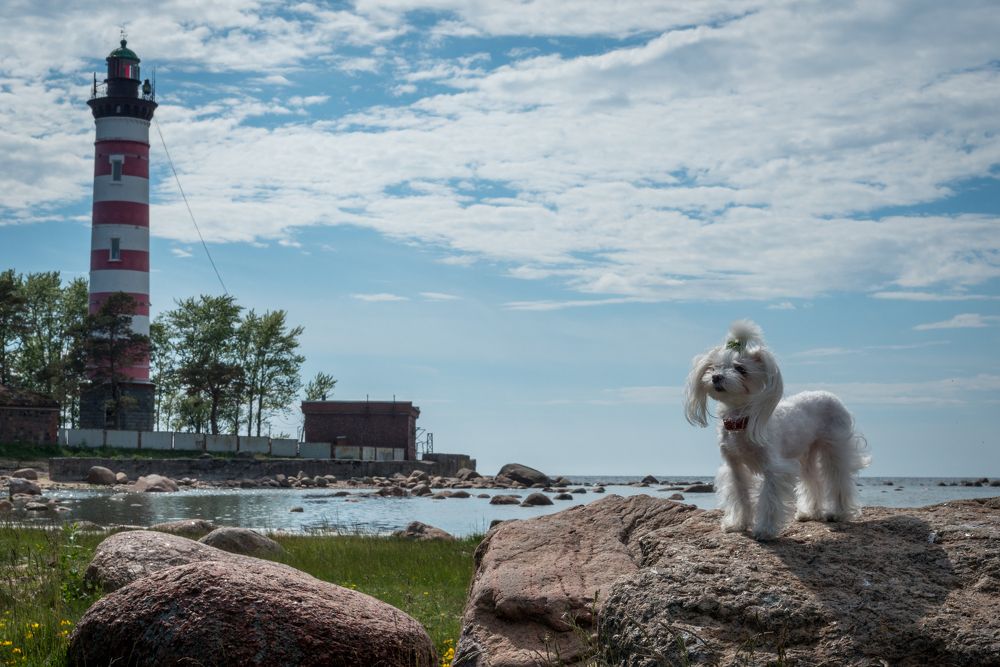 Photograph by Бахтадзе Дмитрий