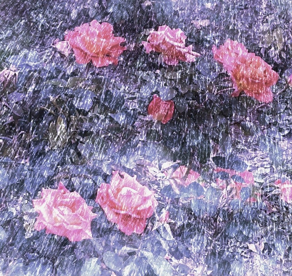 Photograph by Алия Байсыкова