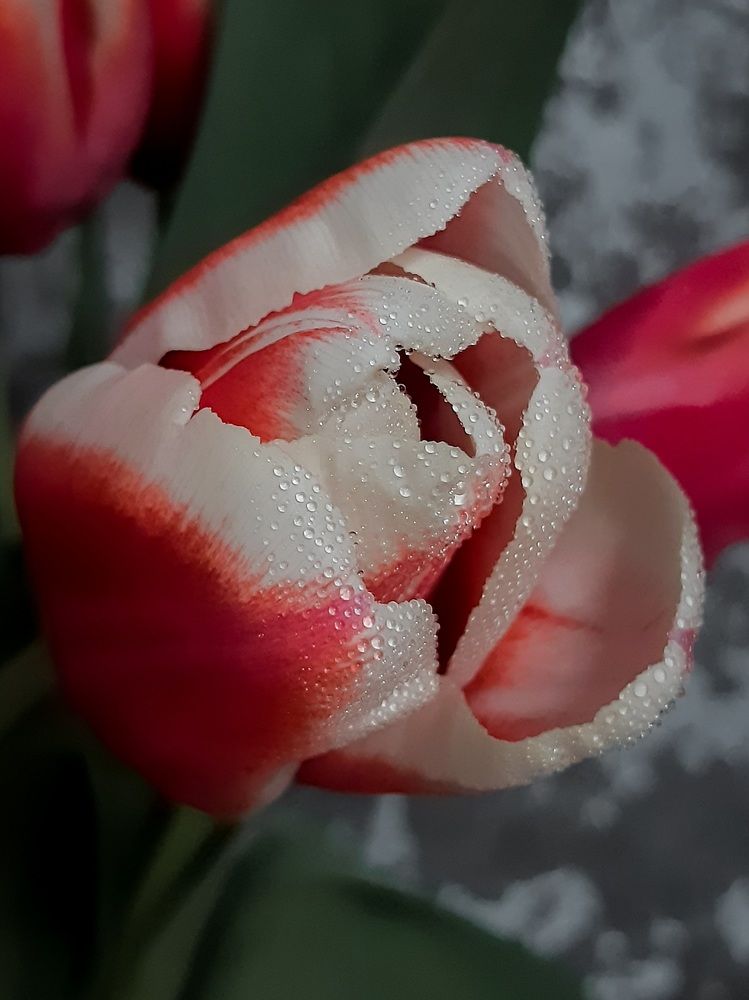 Photograph by Людмила