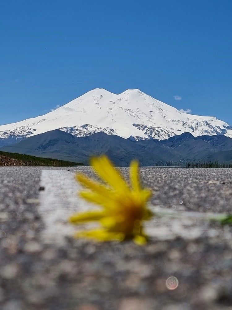 Photograph by Лидия Лащева