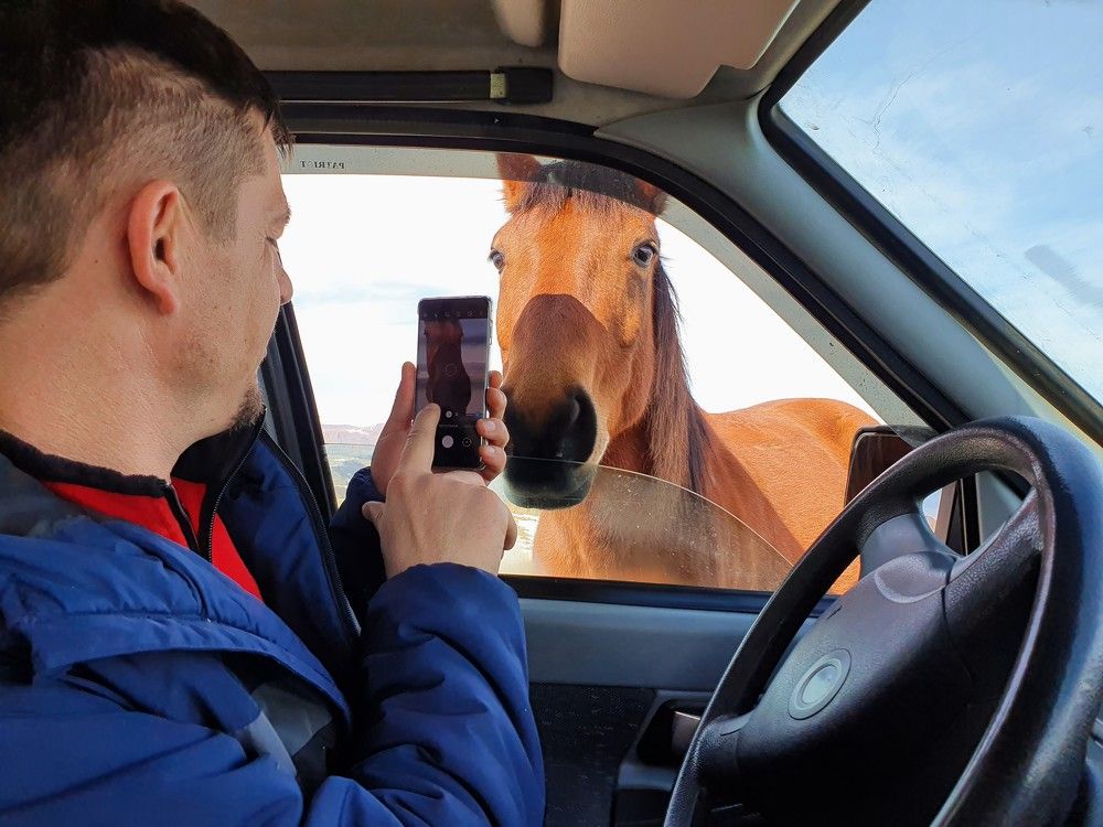 Photograph by Лидия Лащева