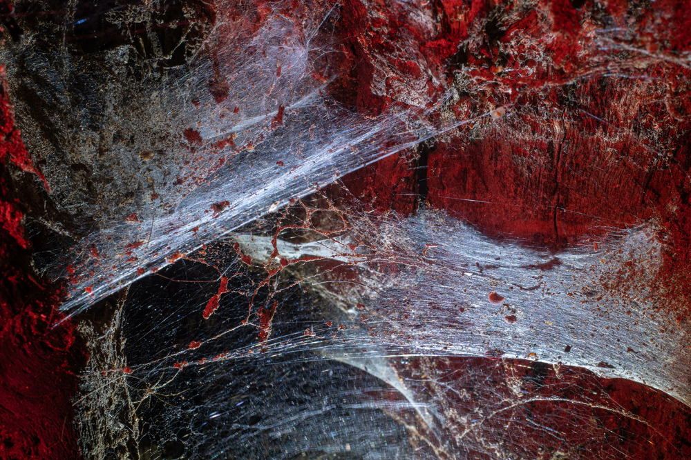 Лесные существа 3