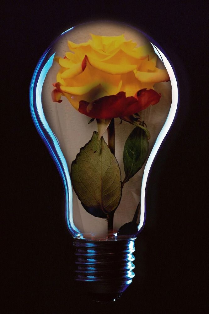 Photograph by Елена Маркова