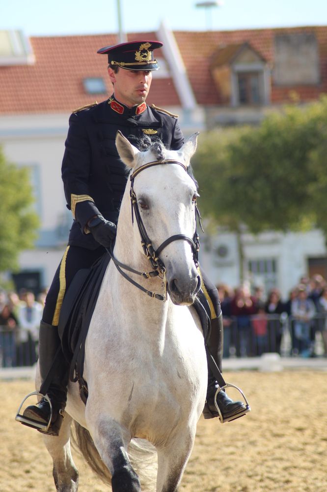 Photograph by Ferreira Francisco