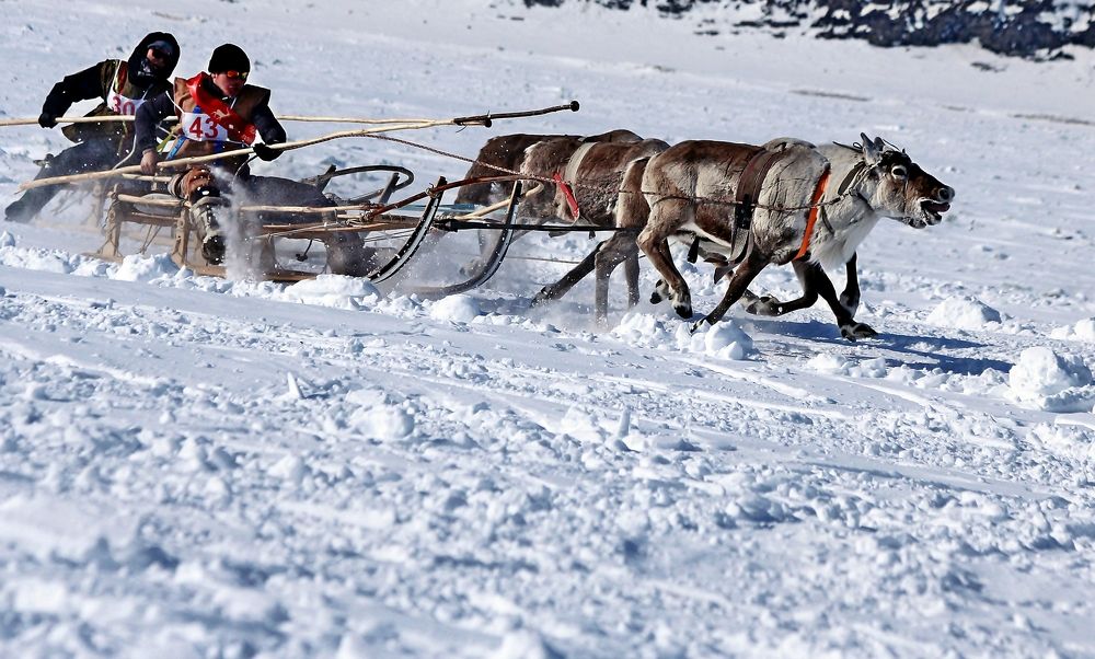 Photograph by Александр Велигура