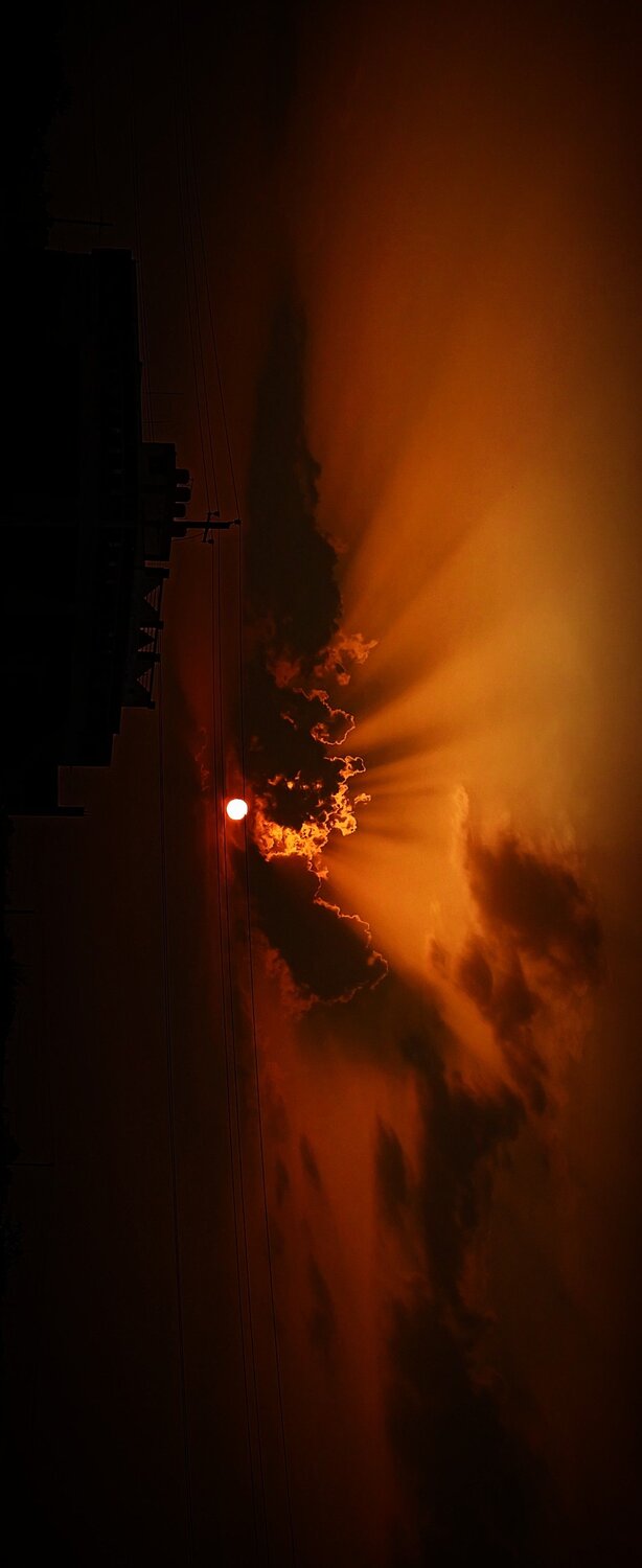 Photo #9965046