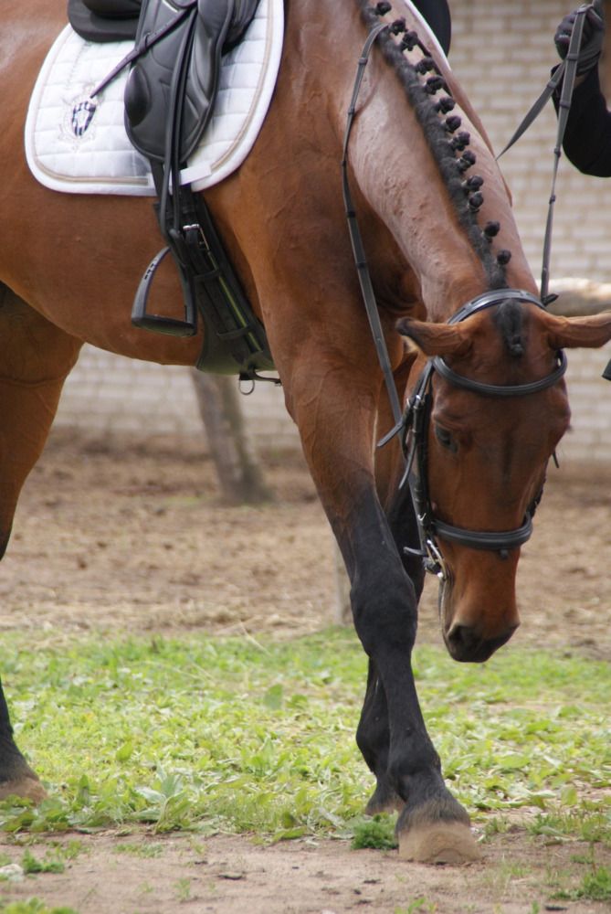 Photograph by Nadin Gaaze