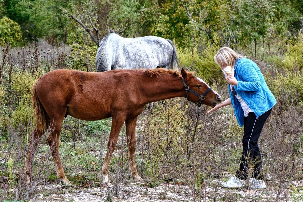 Photograph by Василиса Прекрасная