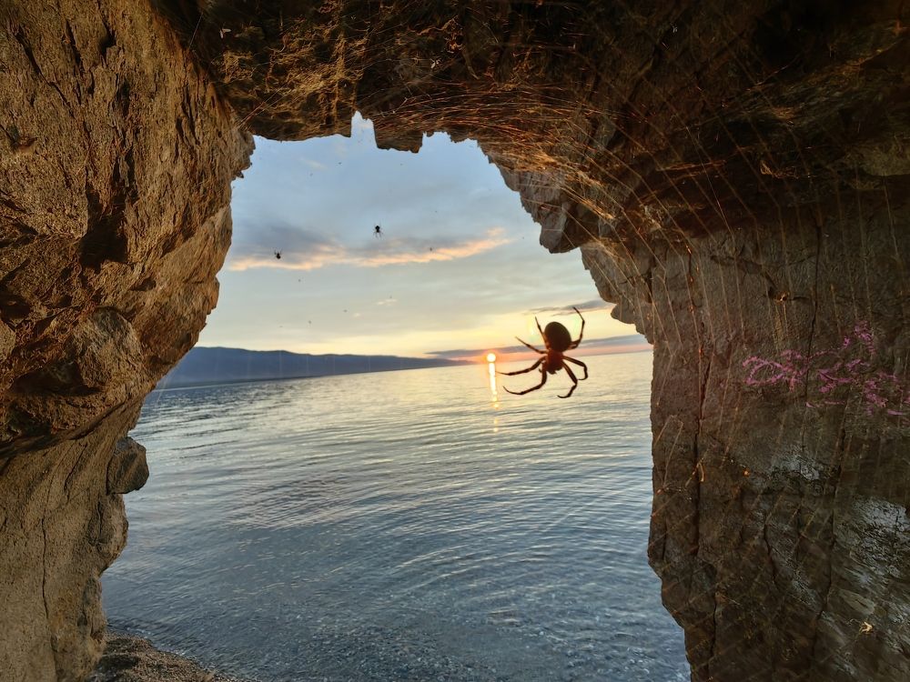 Фотография автора Максим