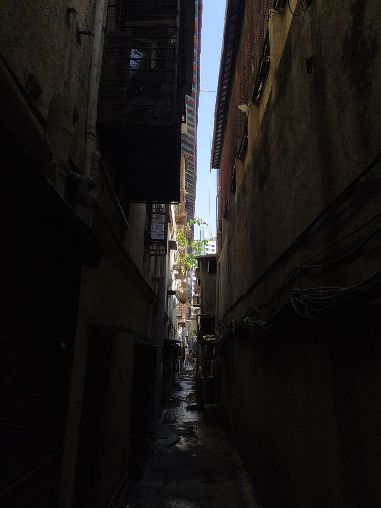 Photo #9965091