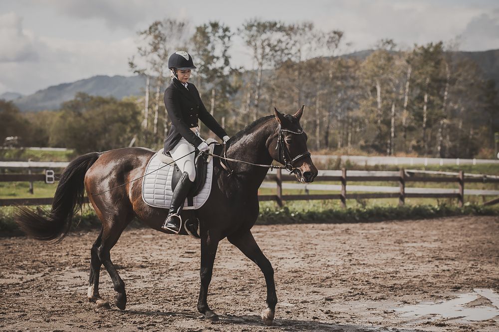Фотография автора Эбингер Дмитрий