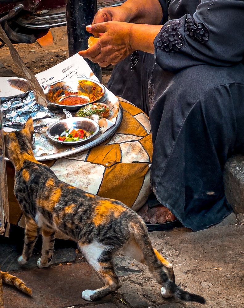 Фотография автора maram ali