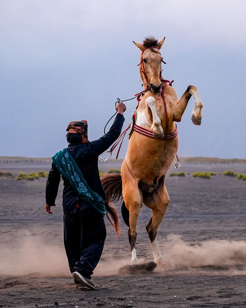 Photograph by Yustiawan