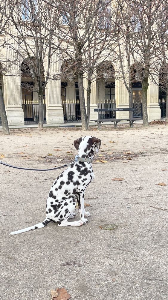 Photograph by Людмила Казак