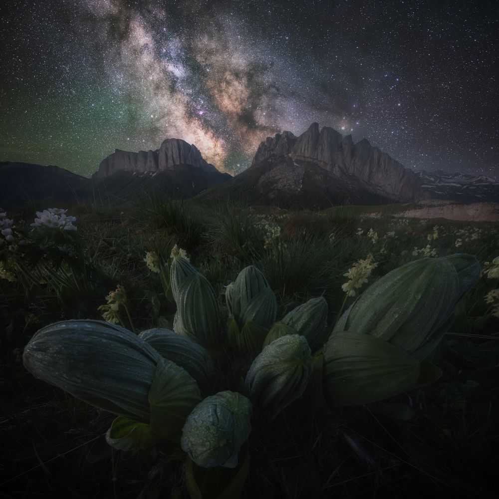 Photograph by Василий Яковлев