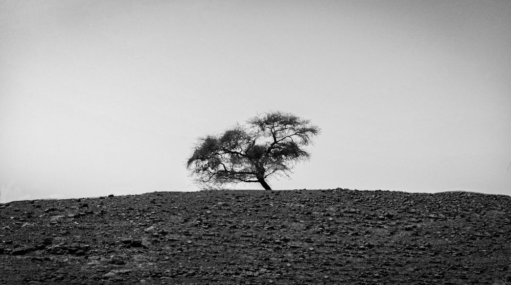 Alone in nothingness