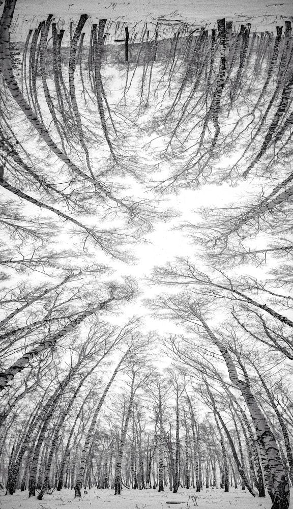 Photograph by Андрей Фадеев