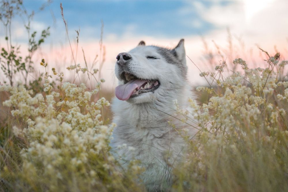 Фотография автора Климова Мария