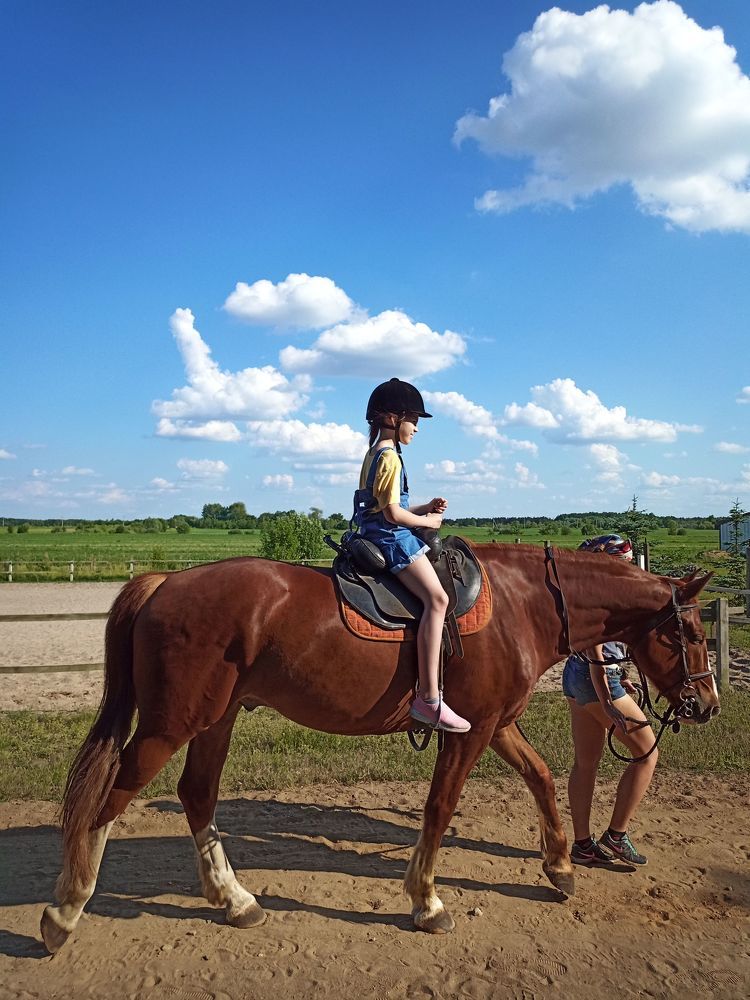 Фотография автора Михаил Бурминский