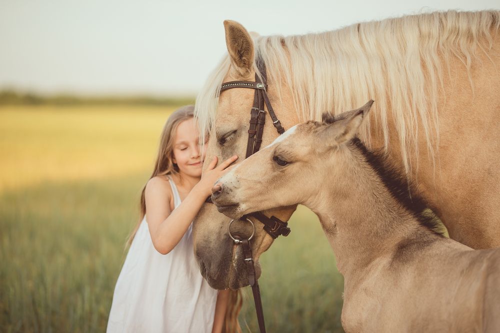 Photograph by Сергей Кужелев