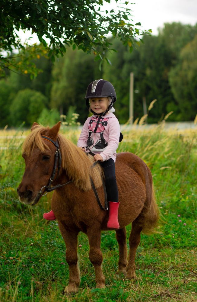 Первое знакомство