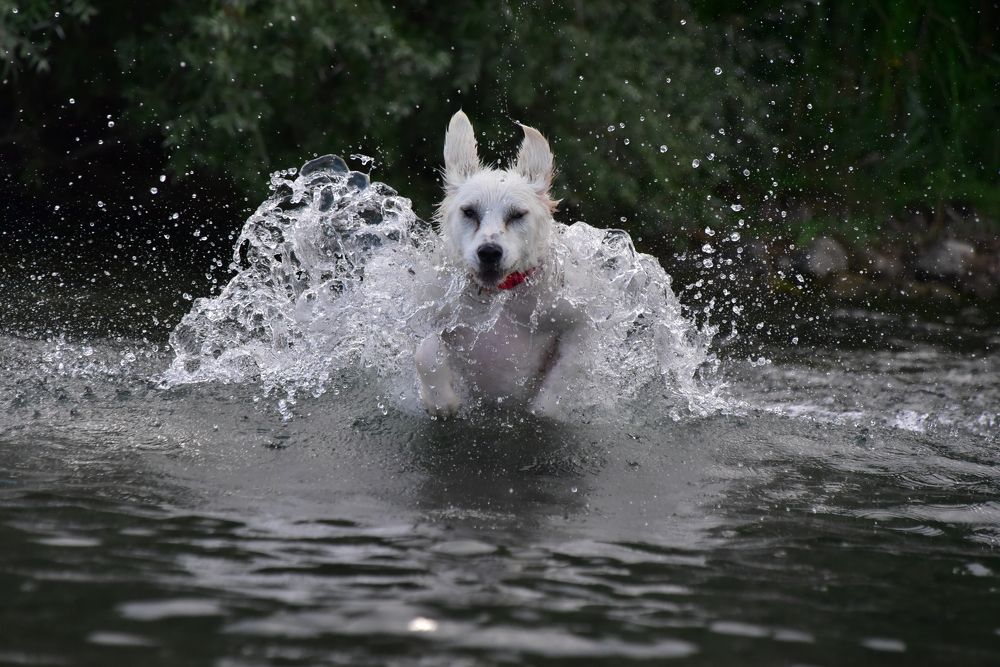 Photograph by Светлана Ивановна